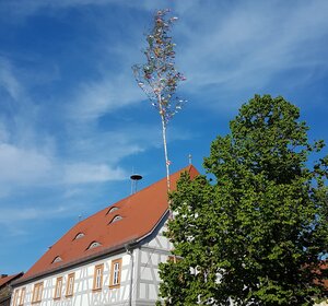 Maibaum vor dem Rathaus Bergrheinfeld